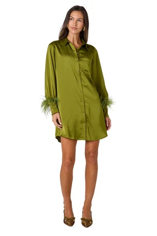 Crawford Dress in Martini