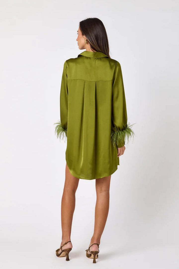 Crawford Dress in Martini