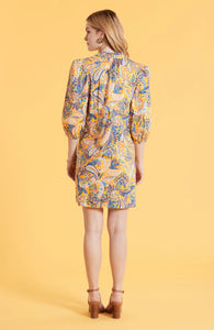 Shen Paisley - Multi