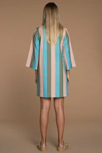 Taylor Dress - Julep Stripe