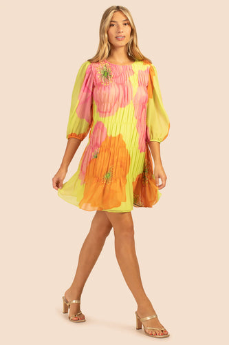 Silvery Dress - Aurora Multi