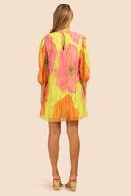 Silvery Dress - Aurora Multi