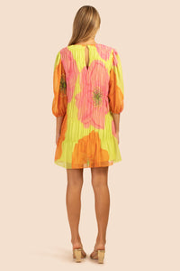 Silvery Dress - Aurora Multi